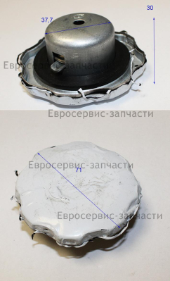 Крышка бака топливного в сборе