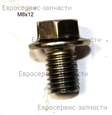 Болт защиты сальника